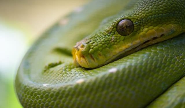 peter neumann B311mBDkZbo unsplash