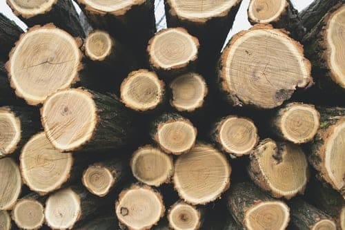 hout