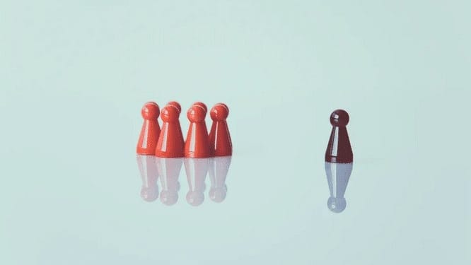 polarisatie racisme