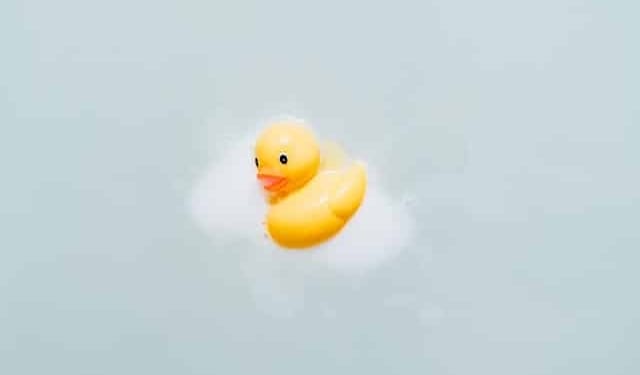 insung yoon dYXMHFb9pJw unsplash