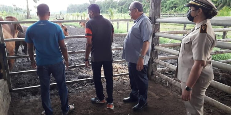 242829340 6261175477287974 955970923938372232 n