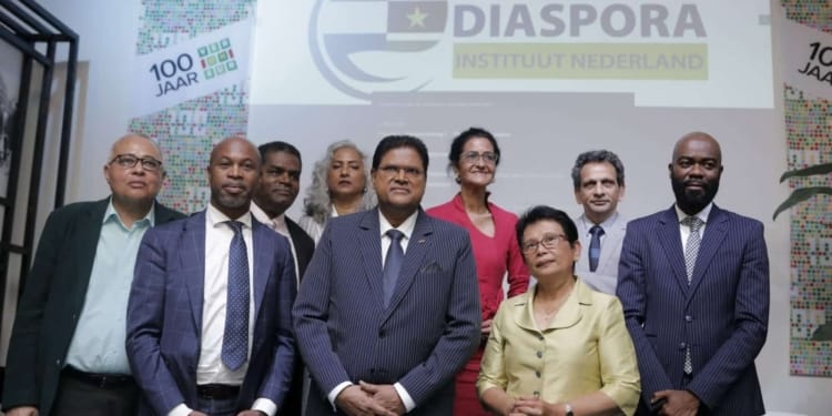 diaspora instituut nederland
