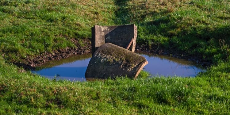 water put