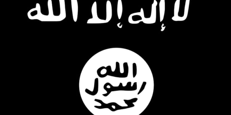 Islamitische Staat Geschiedenis van de terreurbeweging Isis