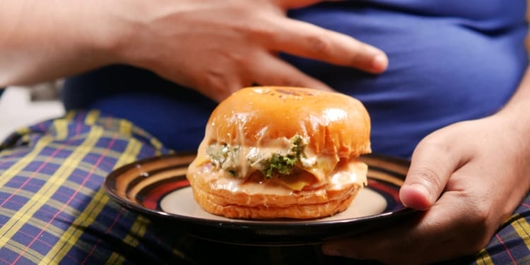 dik vet ongezond eten buik junk food