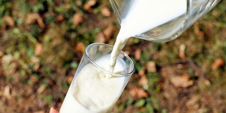 melk 2