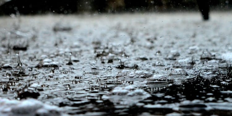 regen water bui