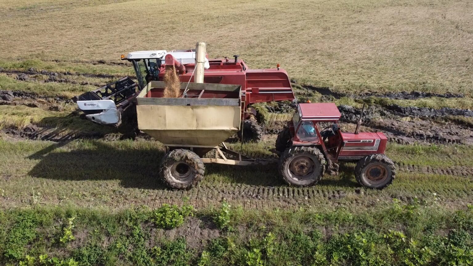 Inzaai rijst 2 1536x864 1