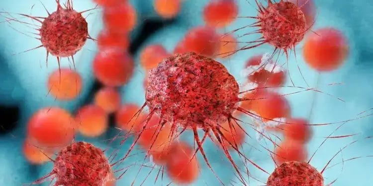 KANKERCELLEN VIRUS