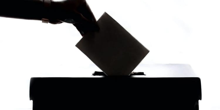 stemmen politiek