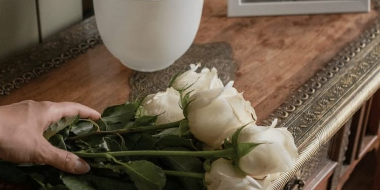 begrafenis dood bloem overleden