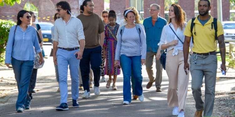 delegatie tweede kamer suriname