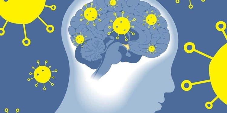 COVID 19 Brain hersenen