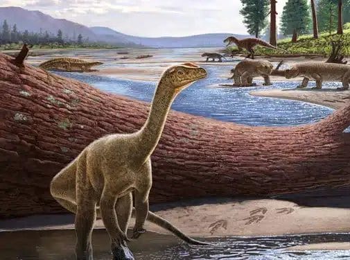 Mbiresaurus Raathi scaled 1