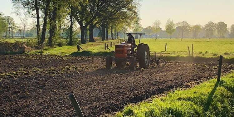 agrobosbouw landbouw planten agrarische sector