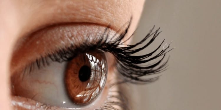 oog
