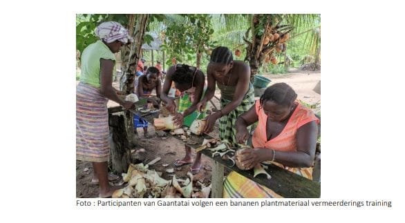 vrouwen binnenland landbouw agrarische sector