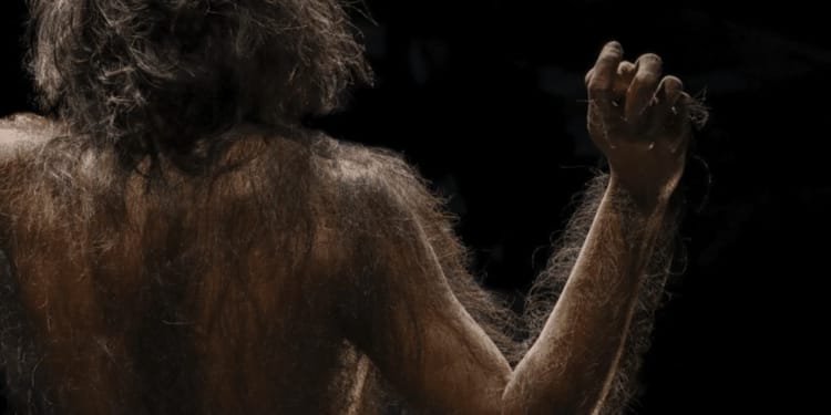 mens homo sapiens