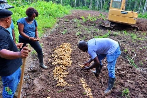 ondersteunt landbouwer te Perika
