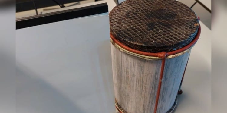 Trommel met slangenhuid uit Suriname in beslag genomen in Nederland