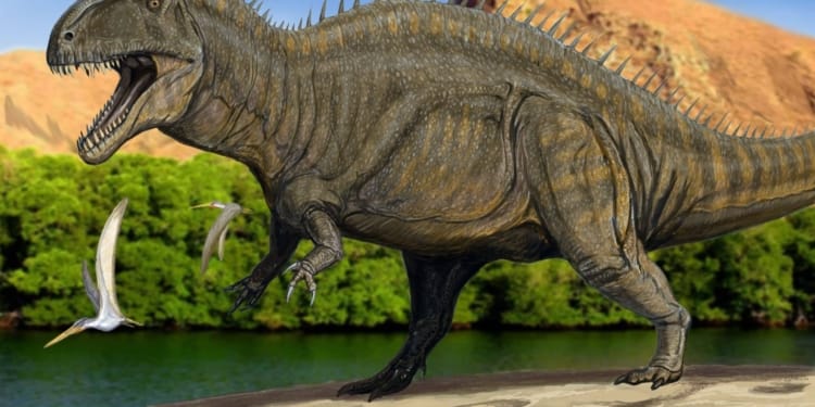 Acrocanthosaurus scaled