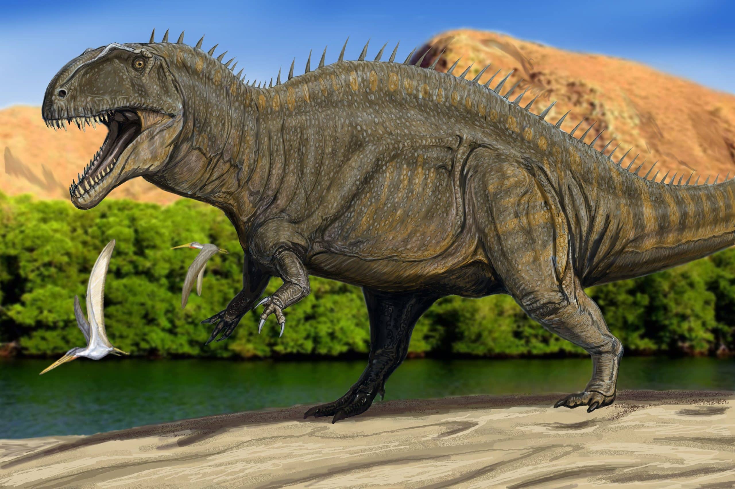 Acrocanthosaurus scaled