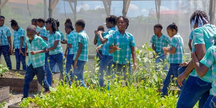 schooltuinen leerlingen