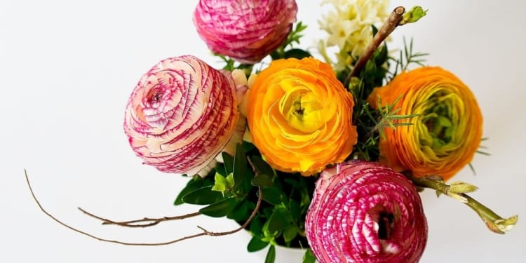 Bloemen bosje bosje bloemen