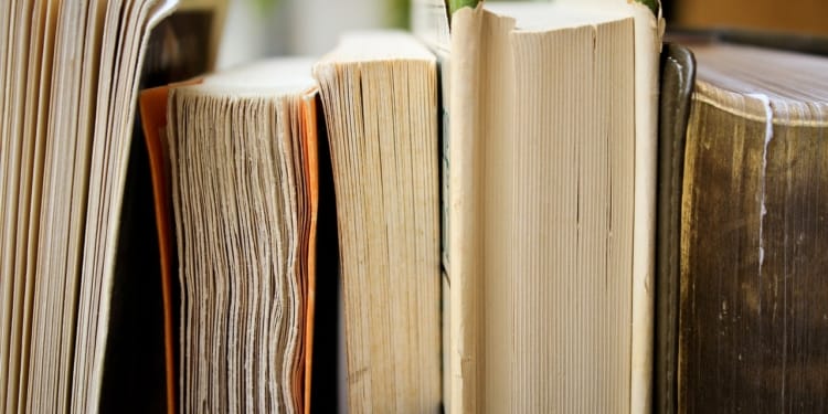 Onderwijs boeken studie studeren