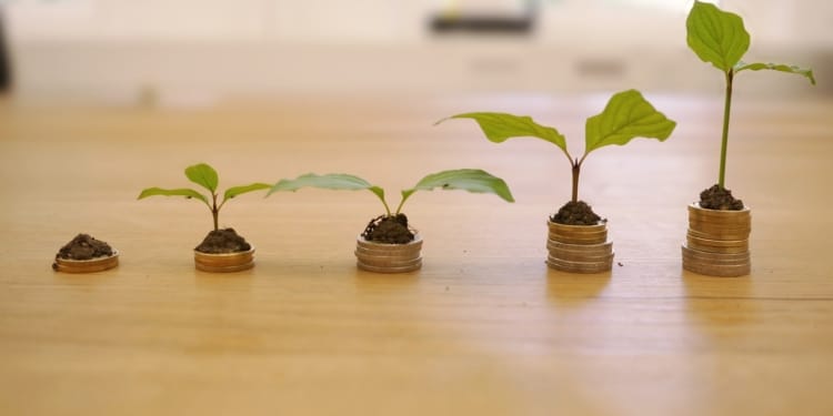 Sparen investeren beleggen