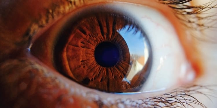 oog wimpers