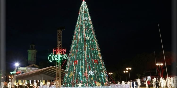 kerstboom