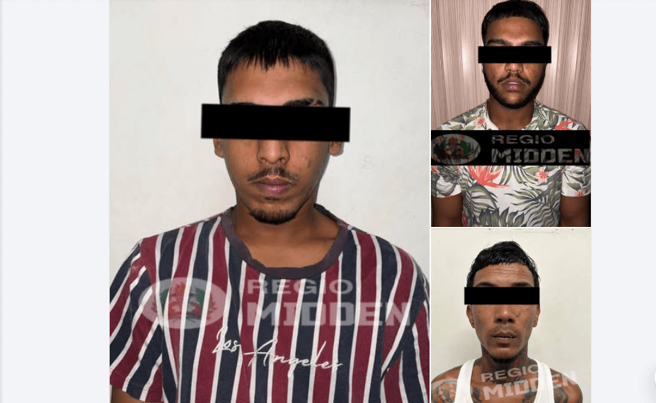 broers aanhouding politie