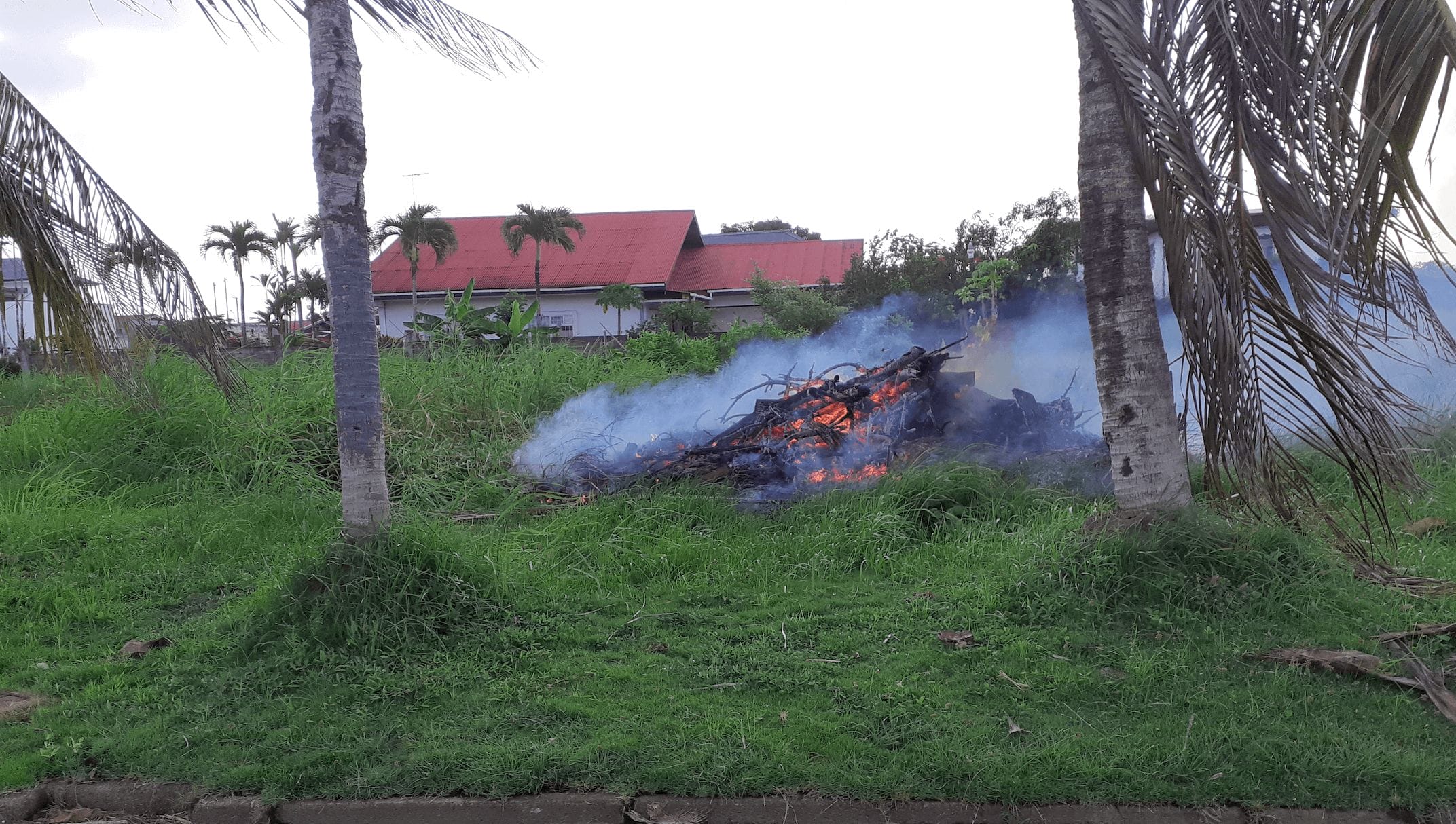 perceel brand verbranden