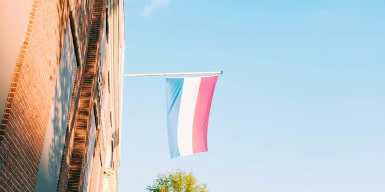 vlag nederland