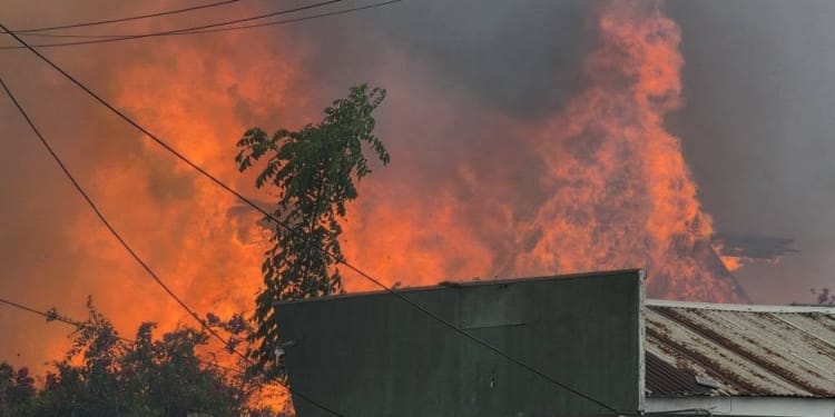 brand foto paul koswal