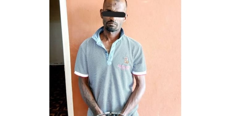 verdachte aangehouden politie