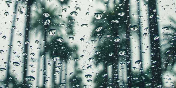 regen